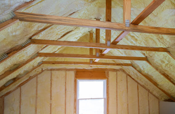Best Insulation Maintenance and Repair in Payne, OH