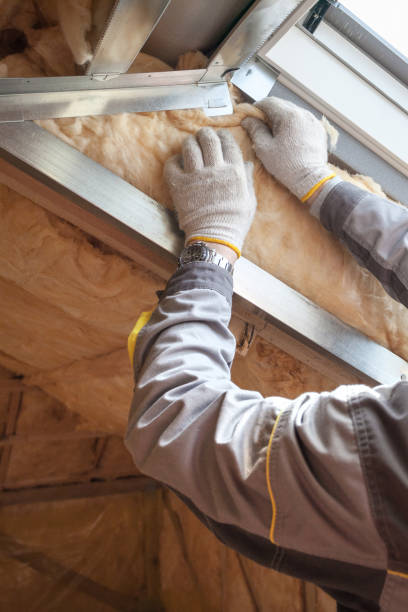 Best Cellulose Insulation in Payne, OH