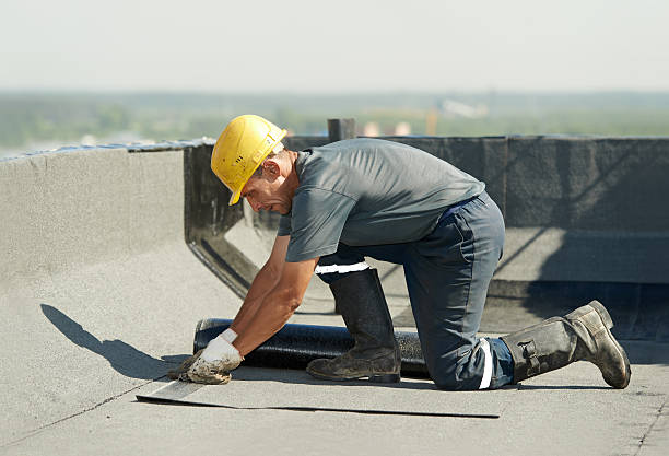 Best Cellulose Insulation in Payne, OH