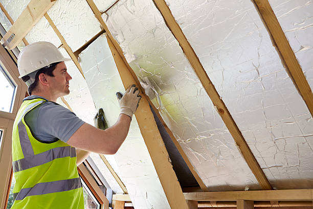 Best DIY Insulation Kits and Guidance in Payne, OH