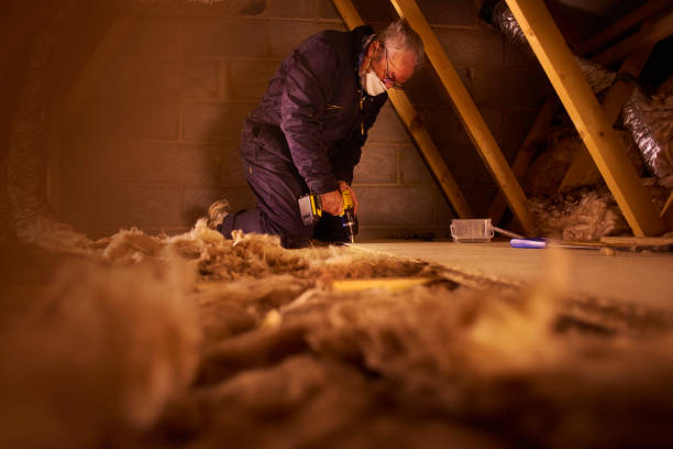 Types of Insulation We Offer in Payne, OH