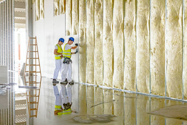 Best Blown-in Insulation in Payne, OH